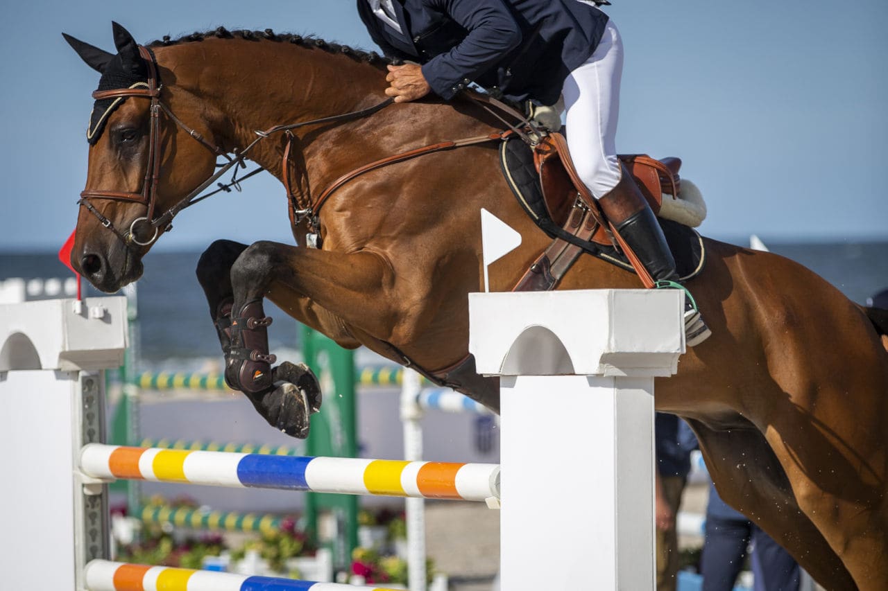 saut obstacle impulsion cheval